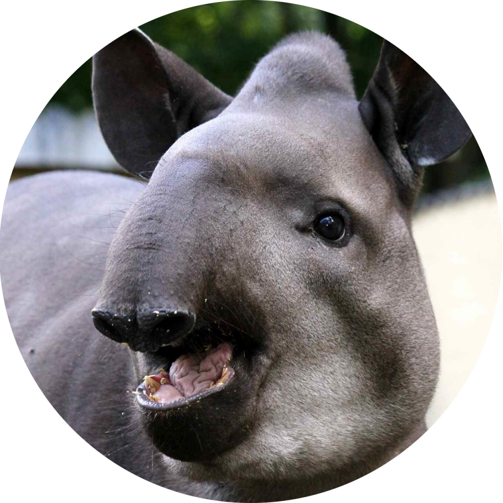 Zoo Vivarium Darmstadt