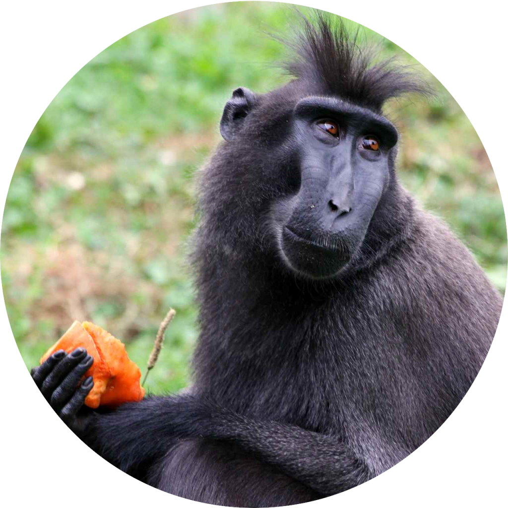 Zoo Vivarium Darmstadt