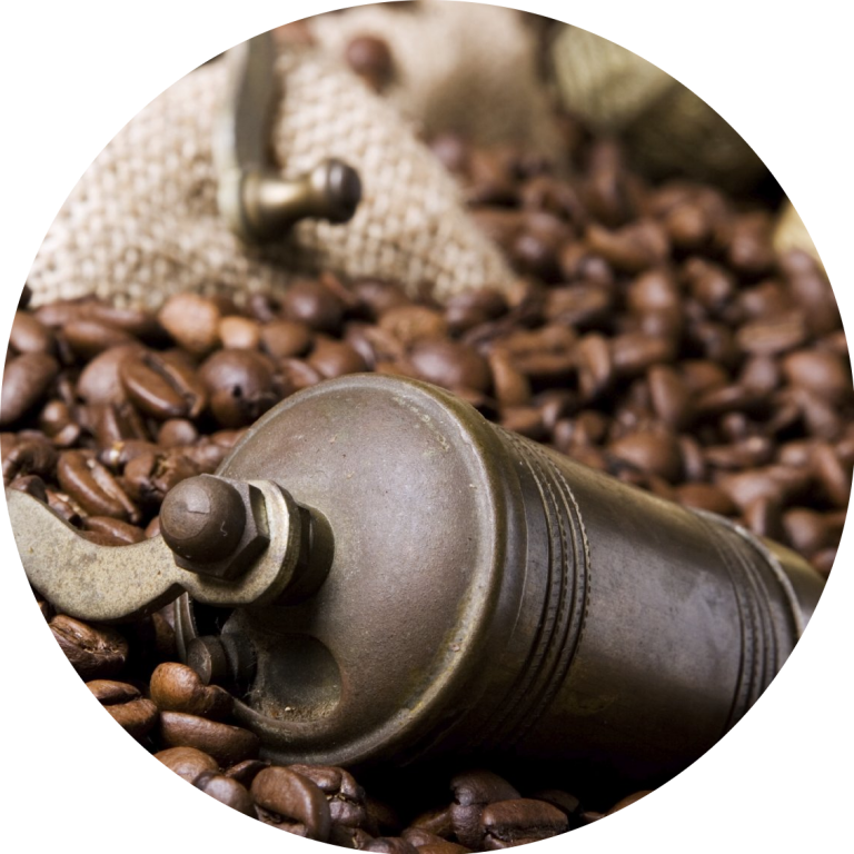 Zoo Vivarium Darmstadt