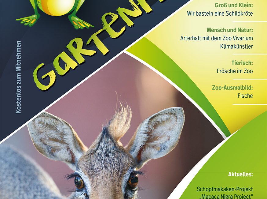 Gartenfrosch SA Zoo Vivarium Titel