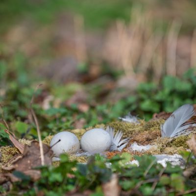 post-Osetrferienprogramm