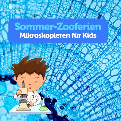 workshop-Sommer-Mikroskopieren