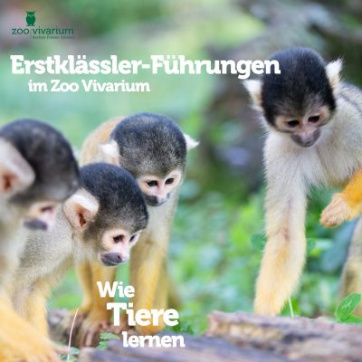post-erstklässler