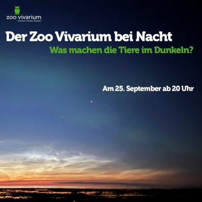 post-vivarium-bei-Nacht