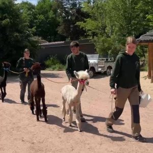 Fuehrung web Fuehrung web