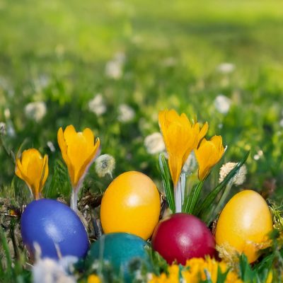 _RMZ4323-Ostern-2-web