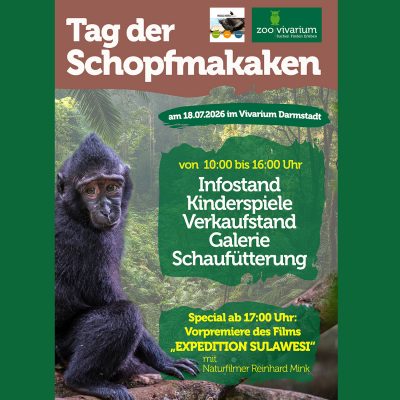 Tag der SM