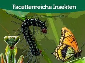 Insekten coll web